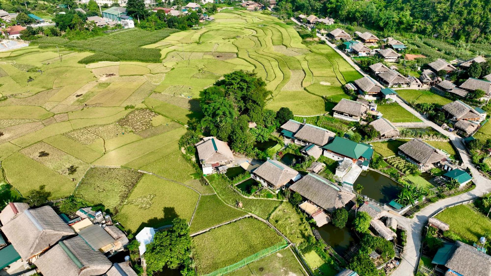 Thavill Retreat Hagiang Lägenhet Ha Giang Exteriör bild