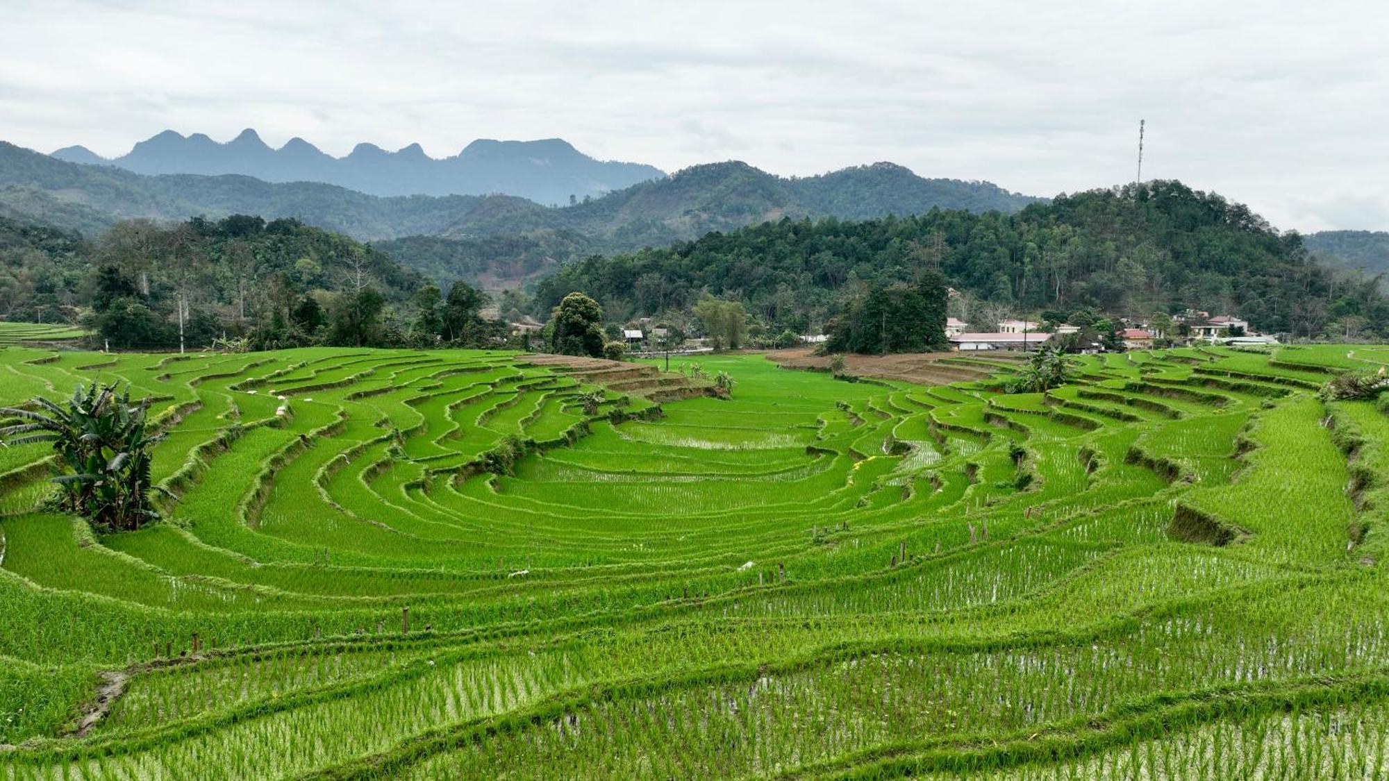 Thavill Retreat Hagiang Lägenhet Ha Giang Exteriör bild