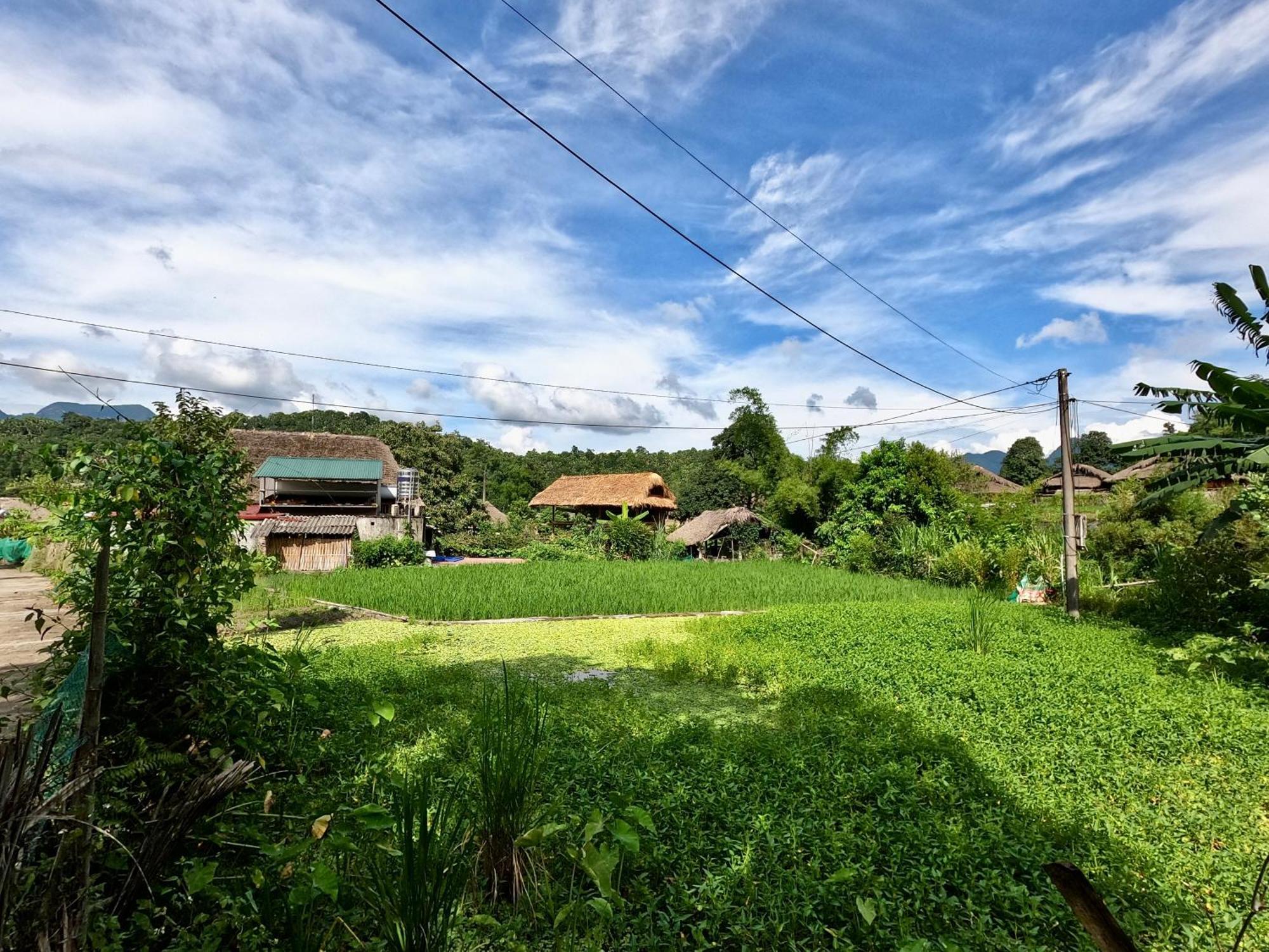 Thavill Retreat Hagiang Lägenhet Ha Giang Exteriör bild