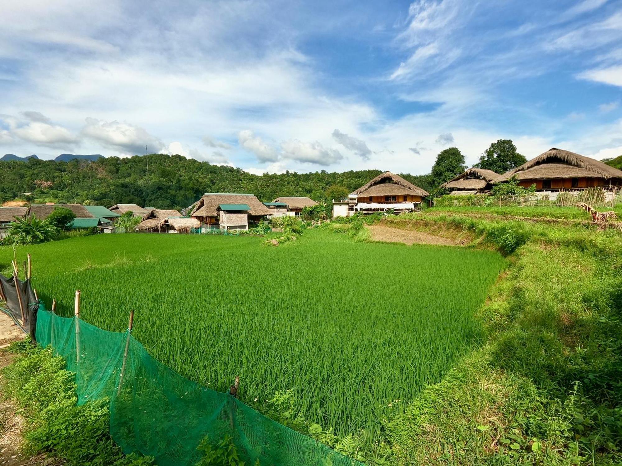 Thavill Retreat Hagiang Lägenhet Ha Giang Exteriör bild