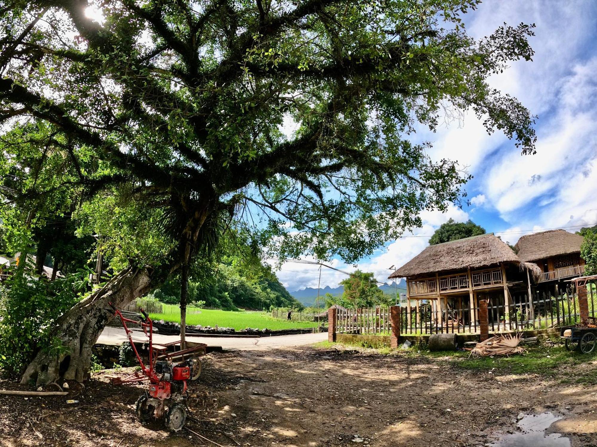 Thavill Retreat Hagiang Lägenhet Ha Giang Exteriör bild