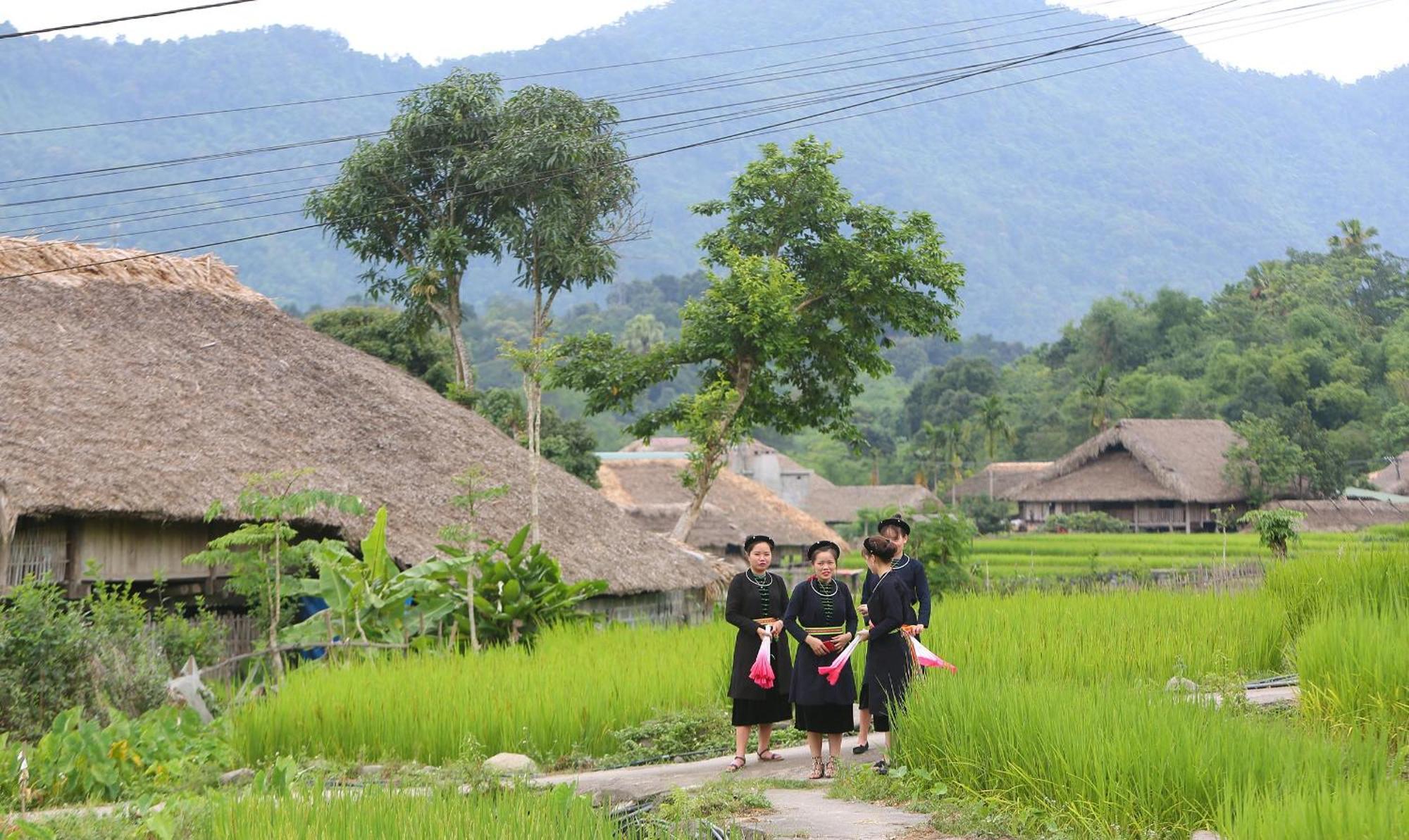 Thavill Retreat Hagiang Lägenhet Ha Giang Exteriör bild